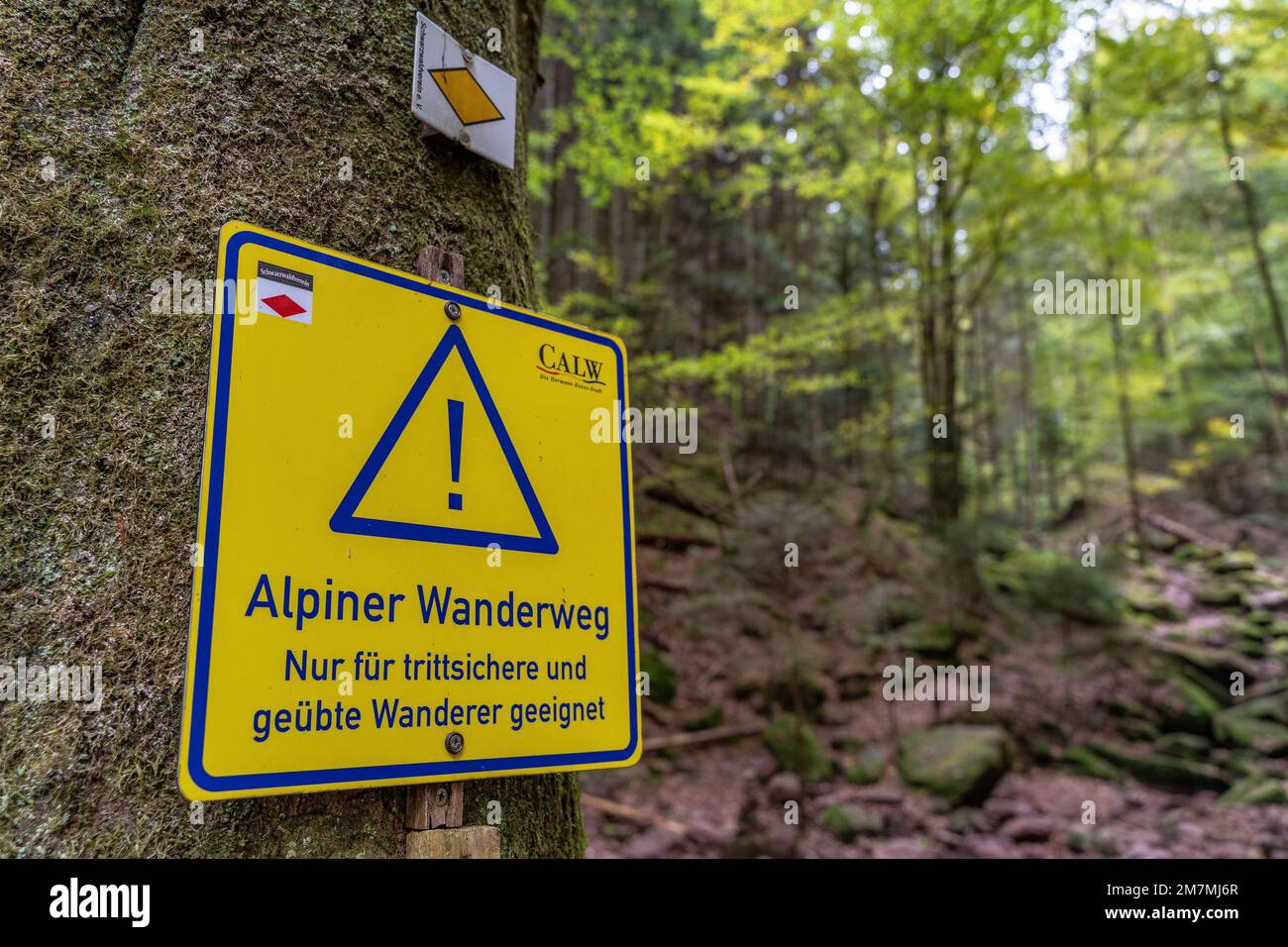 Europa, Germania, Germania meridionale, Baden-Wuerttemberg, Foresta Nera, Hirsau, segnale di avvertimento nella gola del lupo Foto Stock
