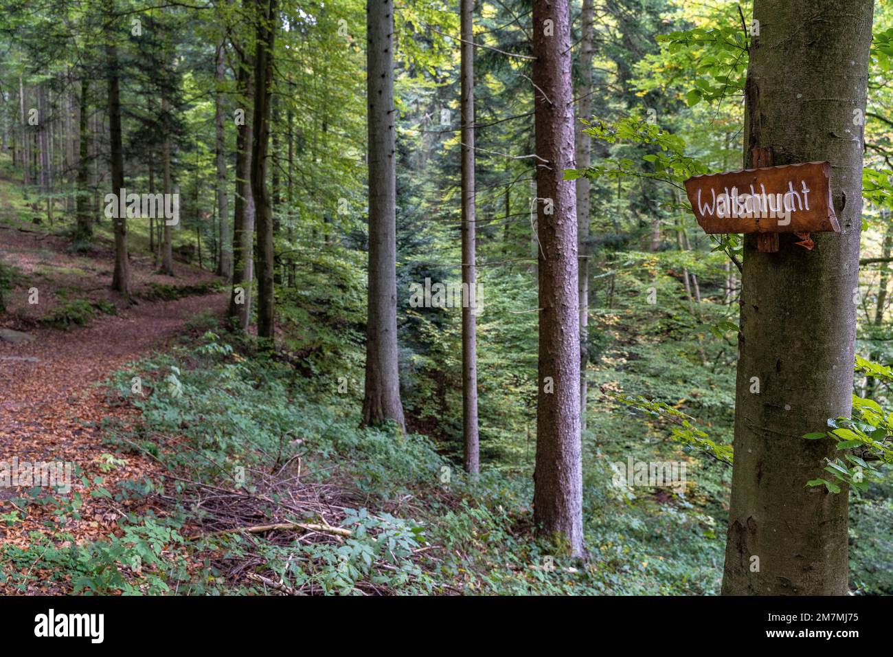 Europa, Germania, Germania meridionale, Baden-Württemberg, Foresta Nera, Hirsau, cartello in legno sulla strada per la Gola del lupo Foto Stock