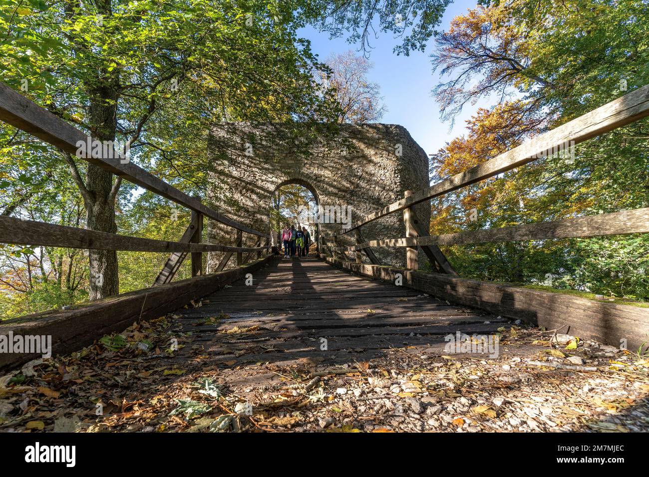 Rovina del castello di diepoldsburg immagini e fotografie stock ad alta