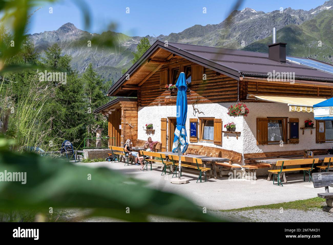 Europa, Austria, Tirolo, Alpi, Alpi Orientali, Ötztal Alpi, Pitztal, Urige Arzler Alm im Pitztal Foto Stock