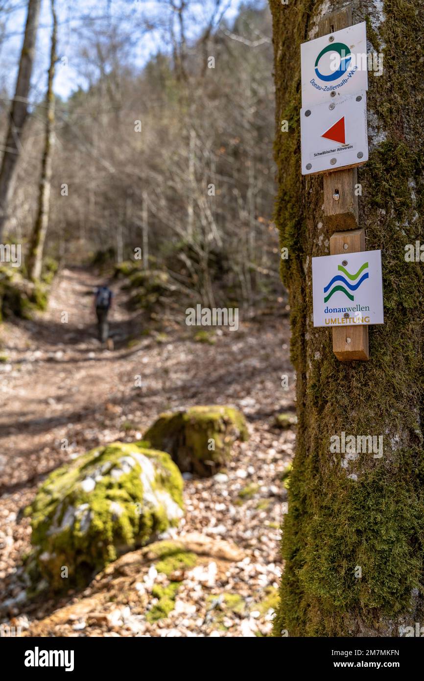 Europa, Germania, Germania meridionale, Baden-Württemberg, valle del Danubio, Sigmaringen, Beuron, segnavia su un albero con escursionista sullo sfondo Foto Stock