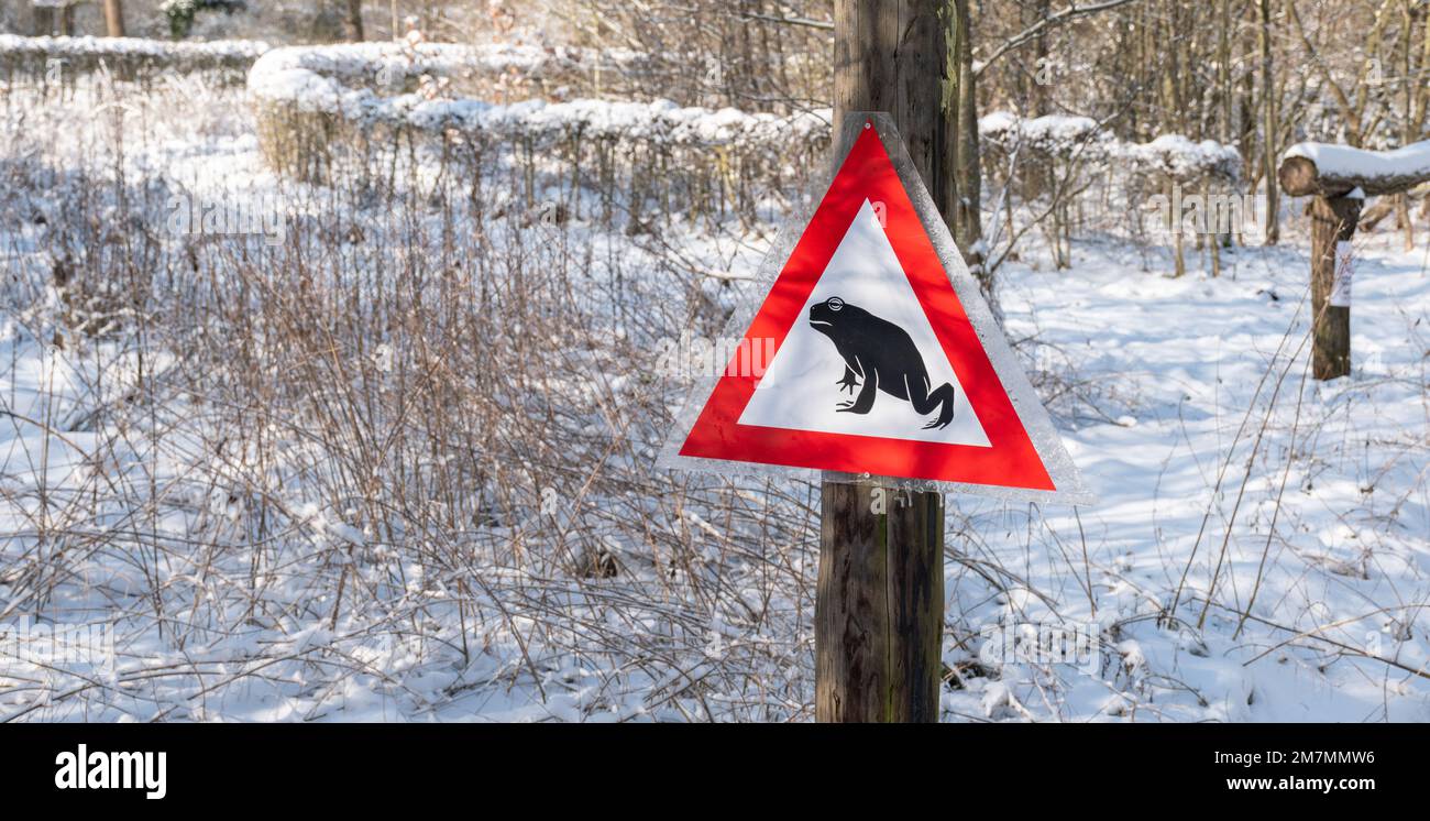 Segnale di avvertimento per l'attraversamento di rospi e rane. Foto Stock