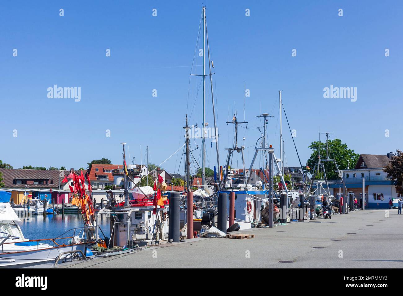 Barche da pesca nel porto, Niendorf, Timmendorfer Strand, Baia di Lübeck, Mar Baltico, Schleswig-Holstein, Germania, Europa Foto Stock