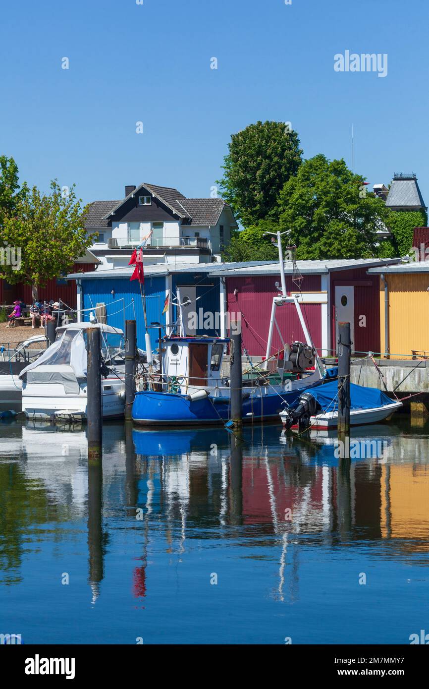 Barche da pesca nel porto, Niendorf, Timmendorfer Strand, Baia di Lübeck, Mar Baltico, Schleswig-Holstein, Germania, Europa Foto Stock