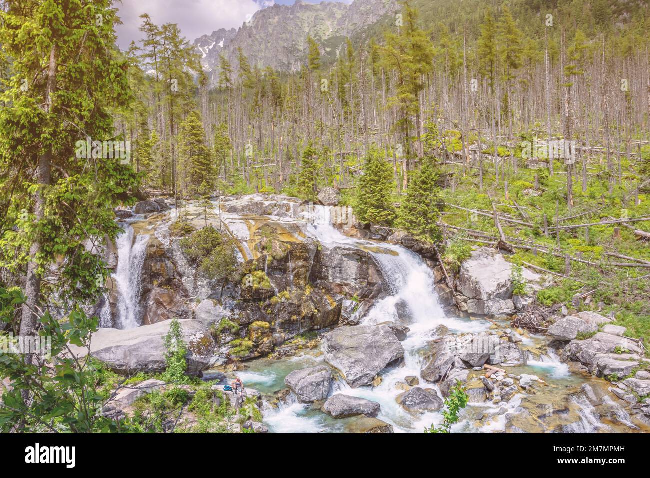 Cascate di Studeny potok in alta Tatra, Slovacchia Foto Stock