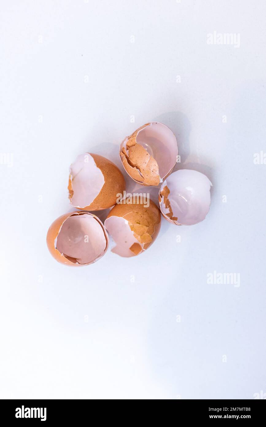 Gusci di uovo bianchi vuoti su sfondo bianco Foto Stock