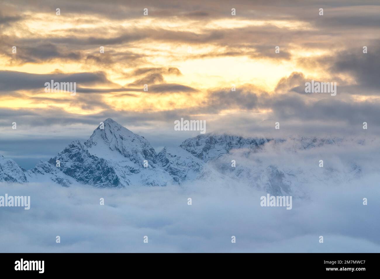 Italia, Veneto, provincia di Belluno, paesaggio innevato vicino al passo di Duran, Monte Antelao emergente dal mare di nuvole, Dolomiti Foto Stock