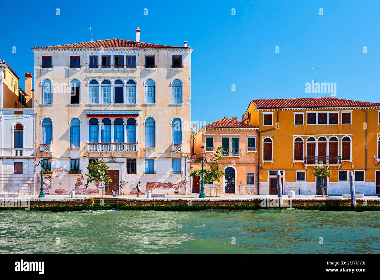 Fila di case direttamente sul Canal Grande, Venezia Foto Stock
