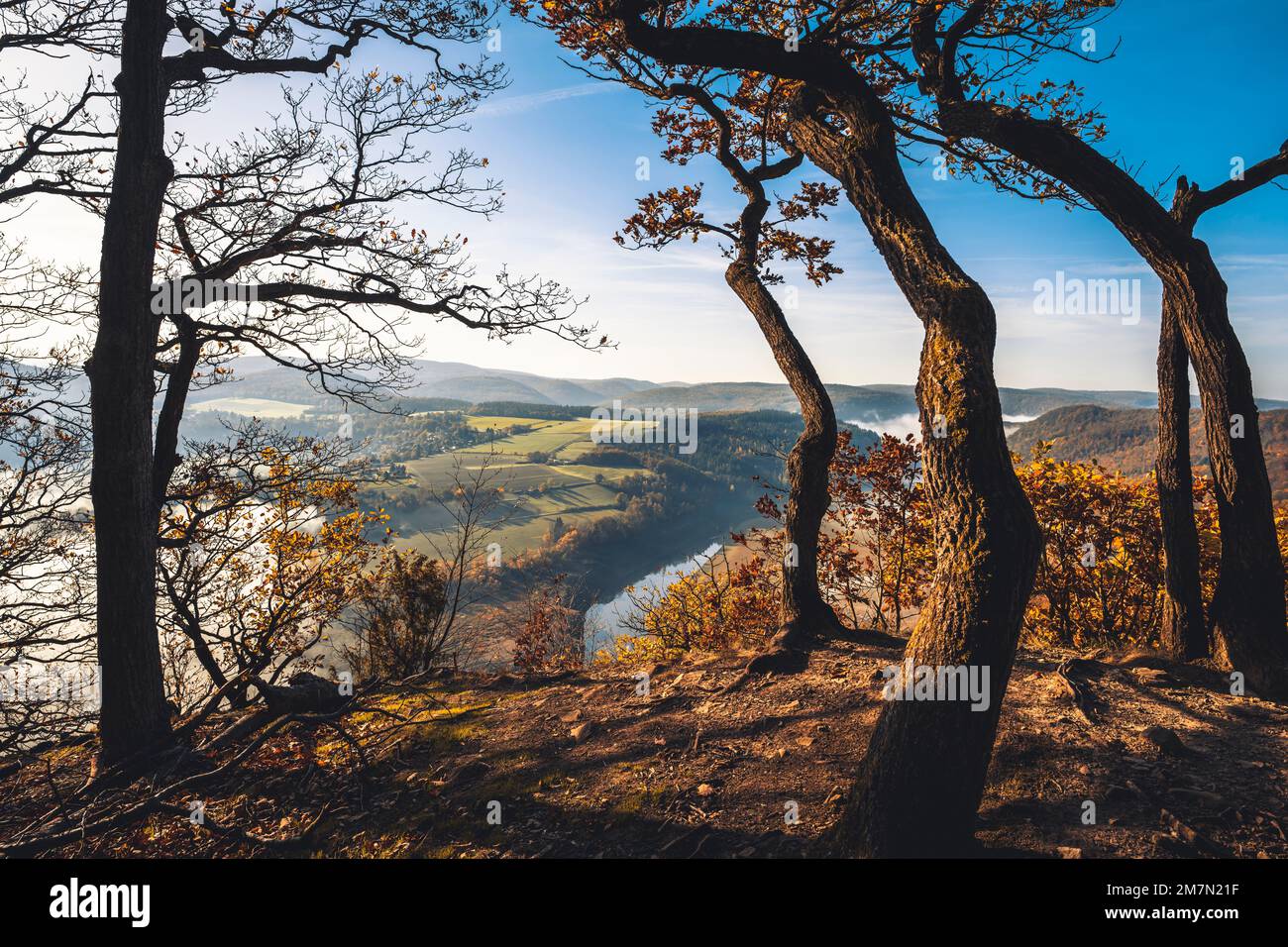 Vista dell'Edersee nel nord dell'Assia nel Parco Nazionale di Kellerwald-Edersee in autunno mattina, nelle querce in primo piano sul sentiero primordiale della foresta Foto Stock