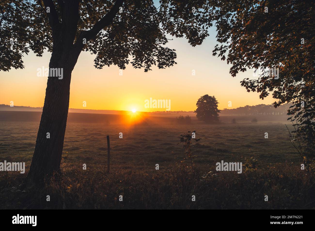 Suggestiva alba nel quartiere di Kassel, nebbia al suolo, vista sul campo, un albero in primo piano Foto Stock