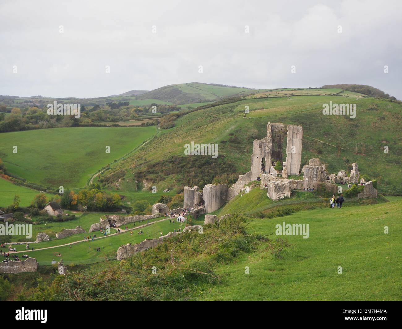 Raccolto verticale delle rovine del castello di Corfe a Dorset nel Regno Unito Foto Stock