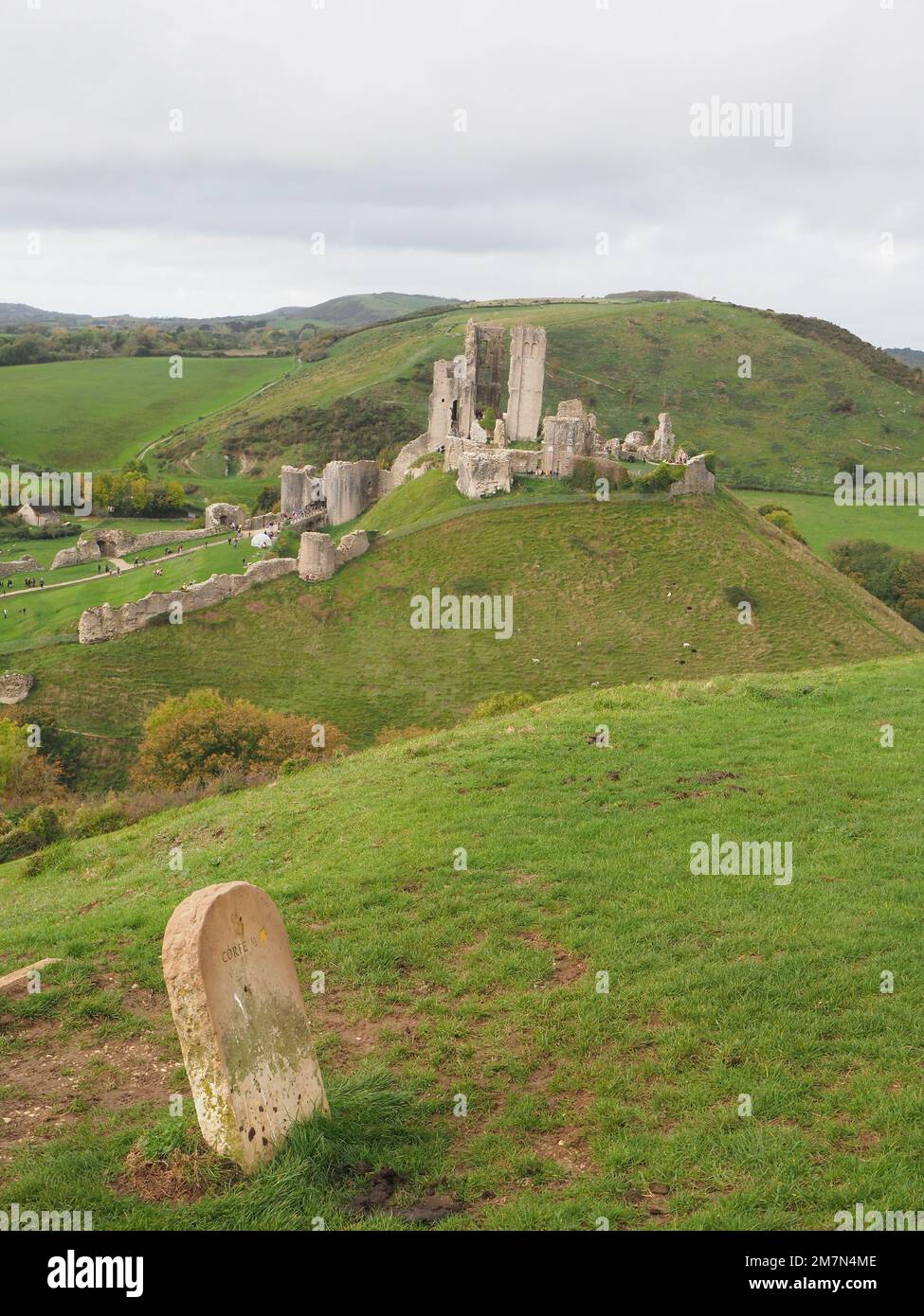 Raccolto verticale delle rovine del castello di Corfe a Dorset nel Regno Unito Foto Stock