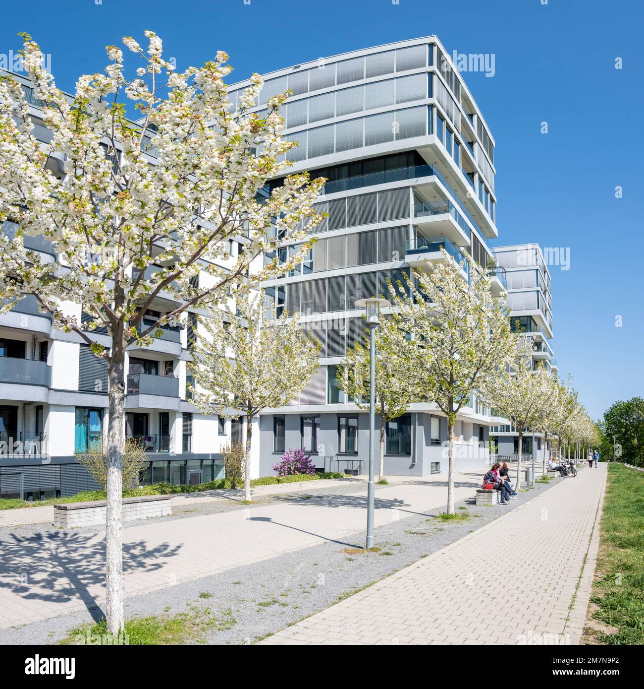 Karlsruhe Ludwig Erhard Allee