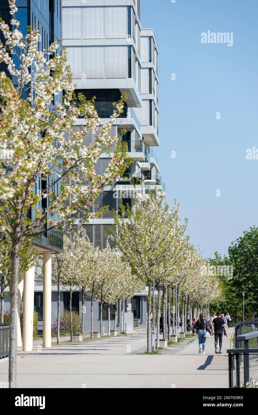Karlsruhe Ludwig Erhard Allee