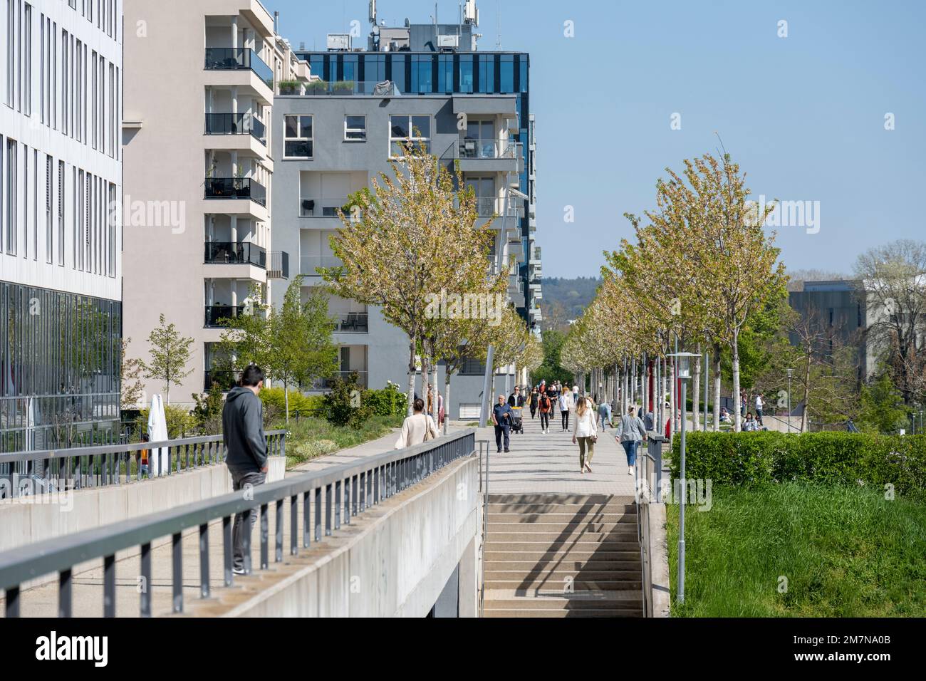 Karlsruhe Ludwig Erhard Allee