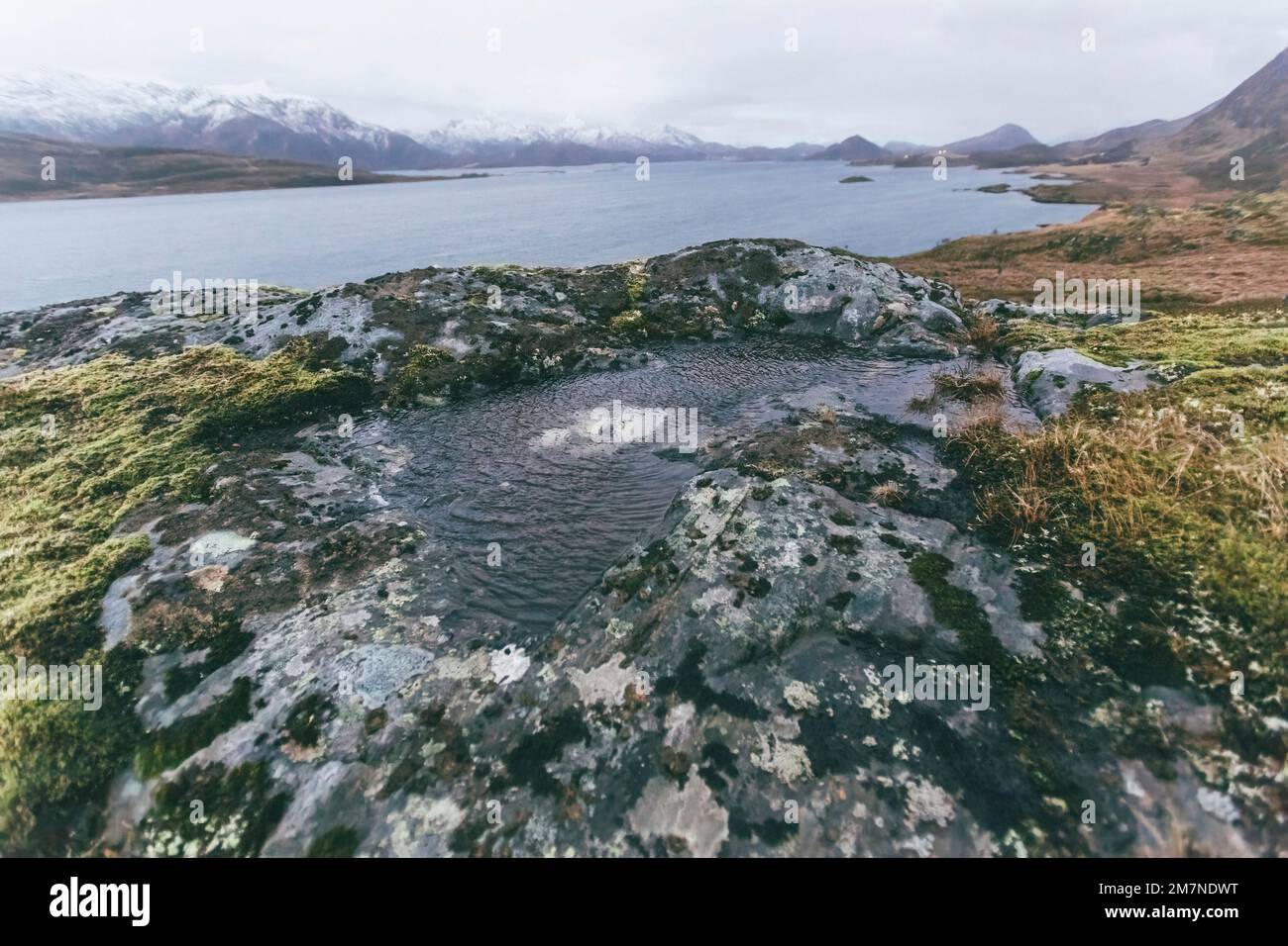 Pozza d'acqua nel paesaggio dei fiordi in autunno a Vesteralen, Norvegia, splendore dei colori del paesaggio nordico costiero con rocce, mare, acqua e muschio Foto Stock