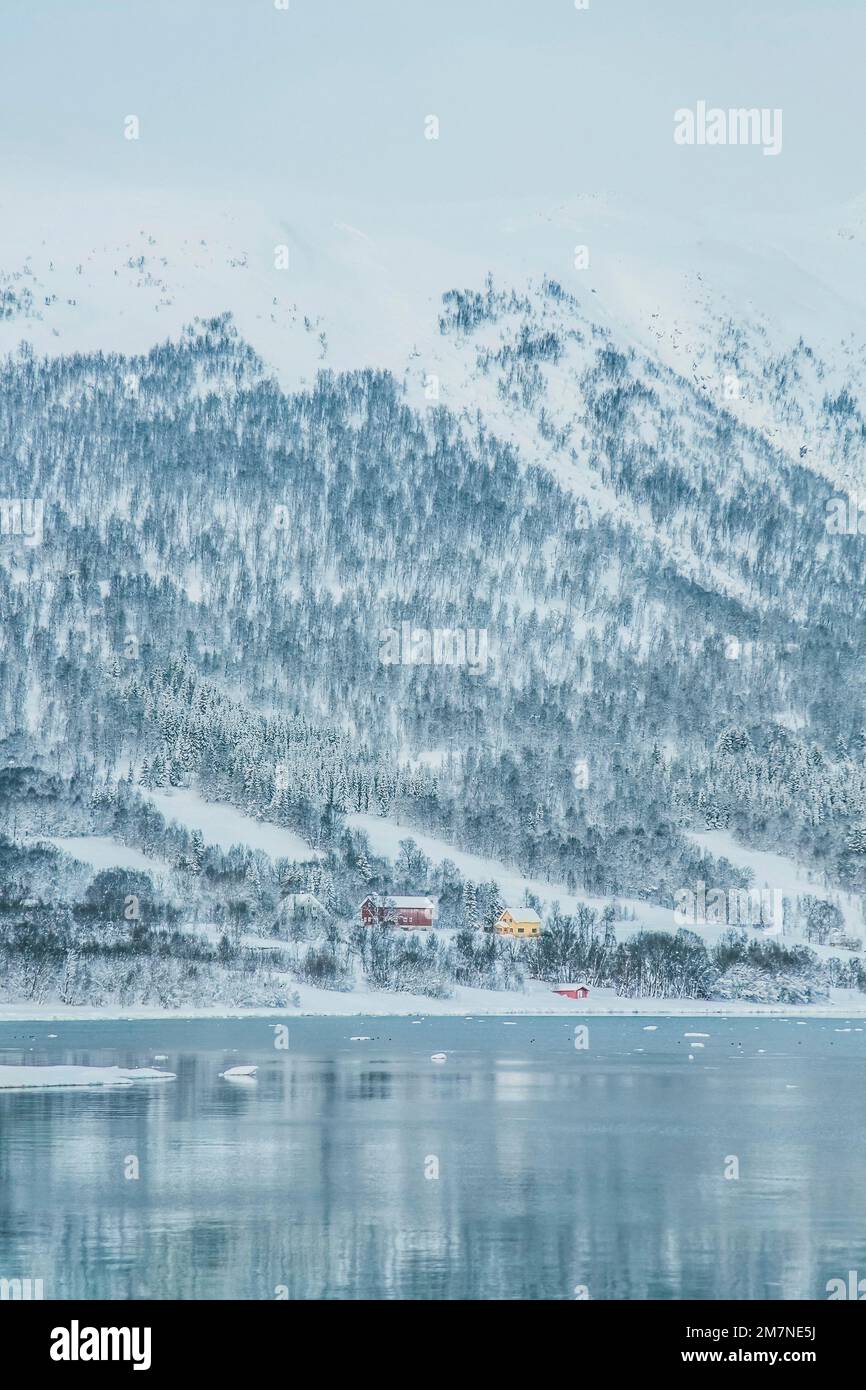 Solitario villaggio di pescatori innevato sul fiordo in Norvegia, tipico paesaggio fiordo con neve, isolamento dal mondo esterno Foto Stock