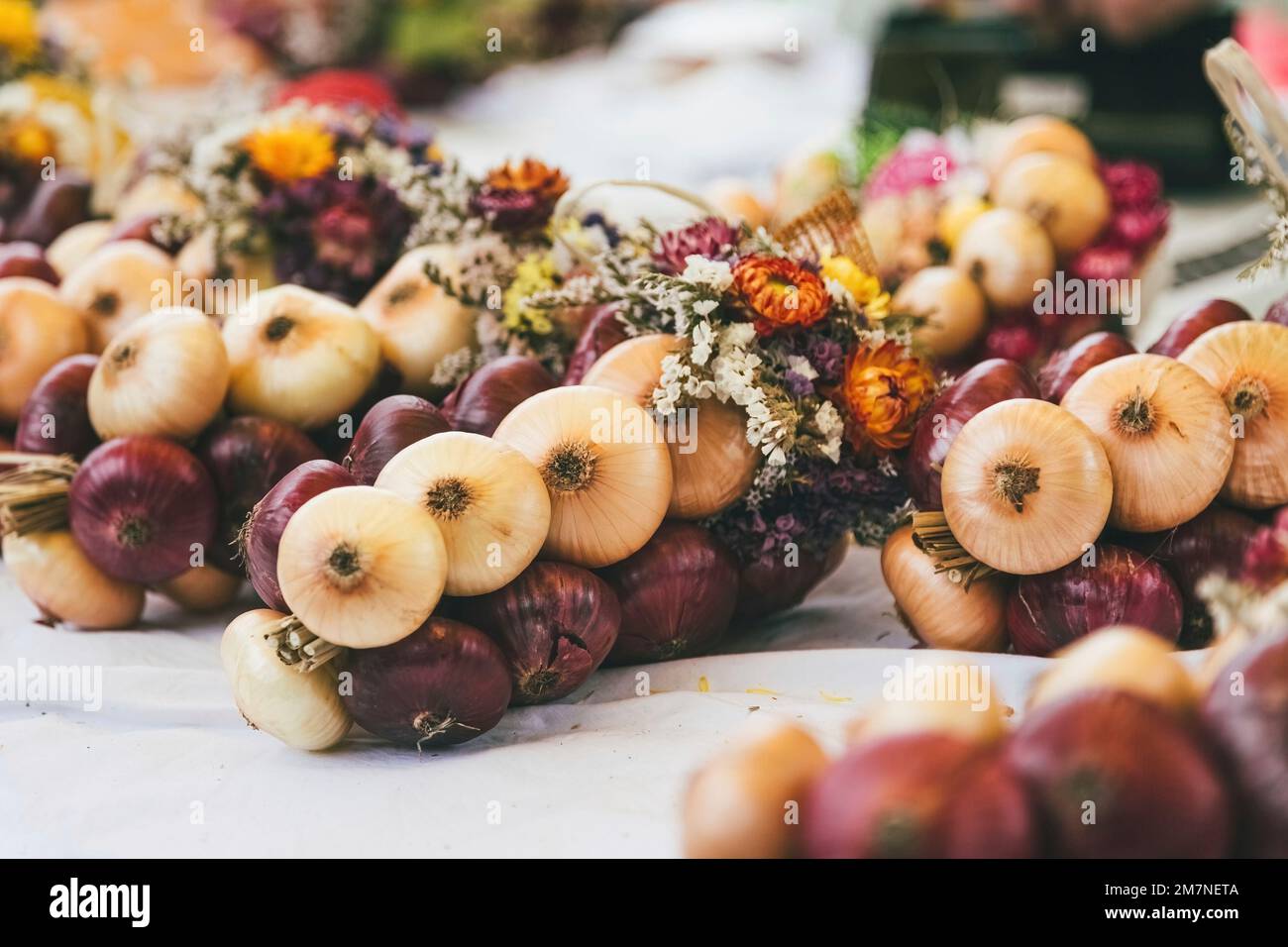 Trecce di cipolla su tela bianca, Zibelemärit tradizionale, mercato della cipolla a Berna, Svizzera, cipolle commestibili (Allium cepa), primo piano, treccia di cipolla Foto Stock