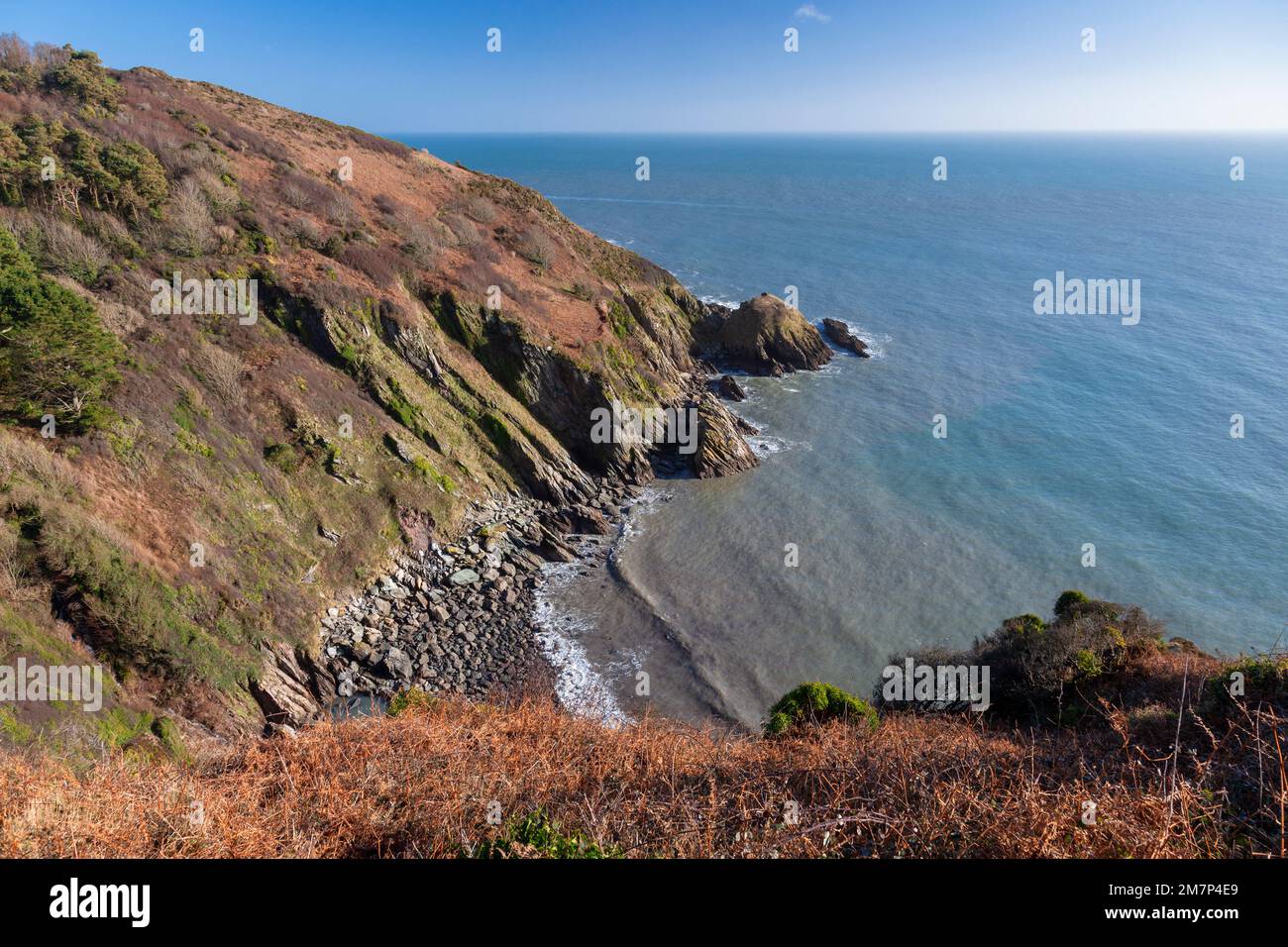 Europa, Regno Unito, Inghilterra, Devon, vicino Kingswear, Vista sulla costa che si affaccia su Pudcombe Cove Foto Stock