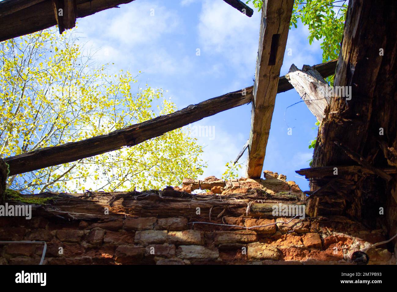 Vecchia casa abbandonata in rovina. Muro di mattoni sbucciati, resti di legno dal tetto. Attraverso il foro nel tetto si può vedere il cielo azzurro e il gr Foto Stock