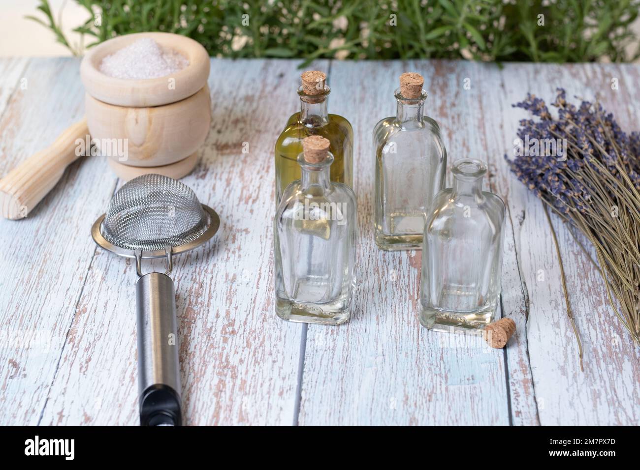 Utensili per produrre olio essenziale di lavanda fatto in casa Foto stock -  Alamy