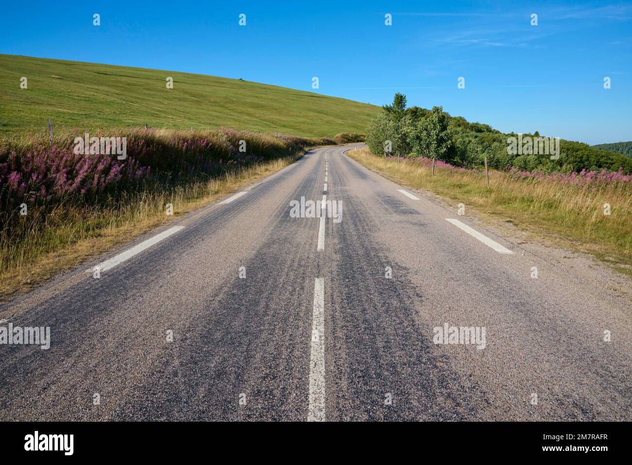 Vosges Ridge Road (Route des Cretes), Estate, Hohneck, la Bresse, Vosges, Alsazia-Lorena, Francia Foto Stock