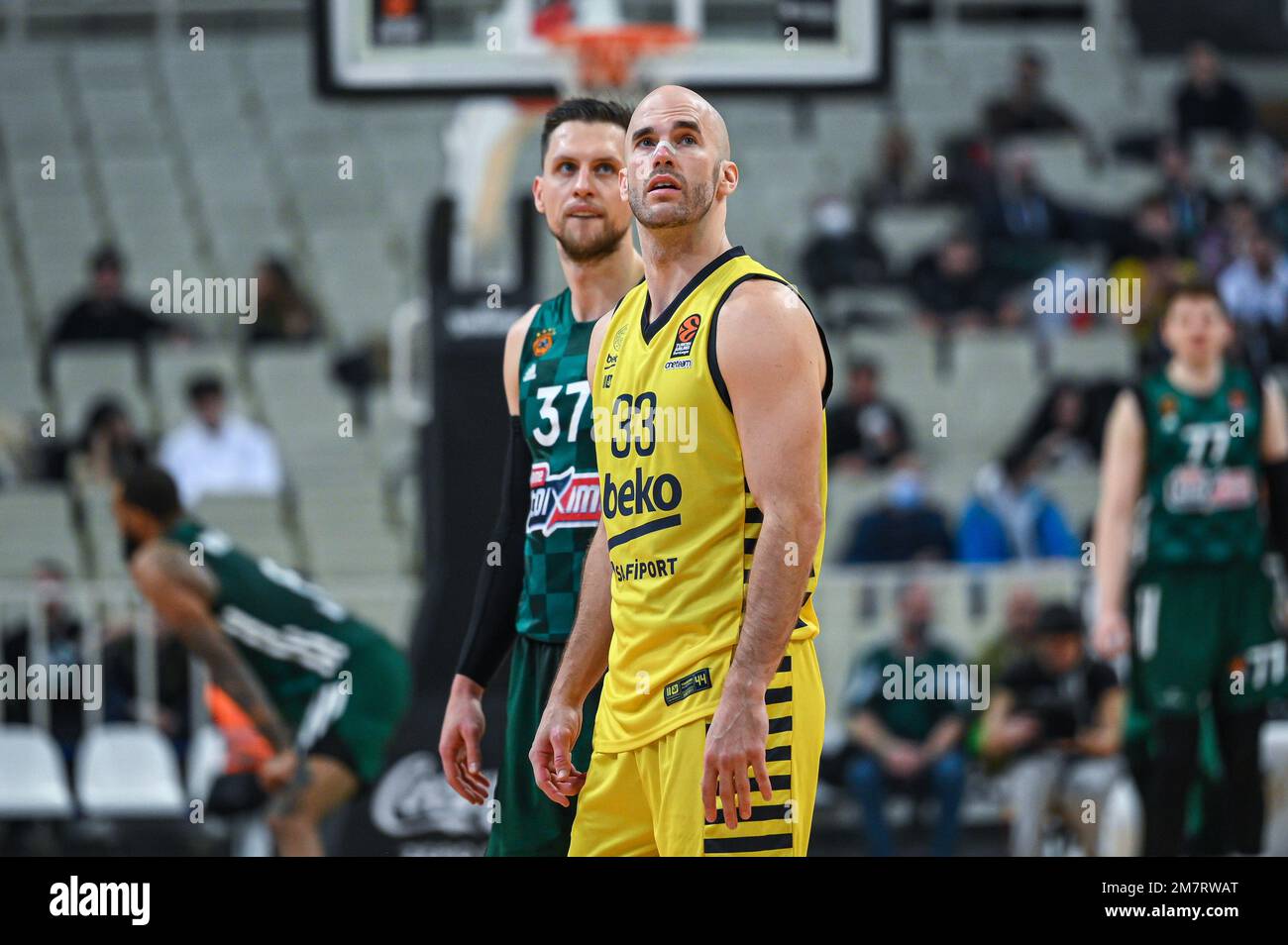 37 MATEUSZ PONITKA di Panathinaikos AC con 33 NICK CALATHES di Fenerbahce Beko Istanbul durante l'Eurolega, turno 18, partita tra Panathinaikos Foto Stock