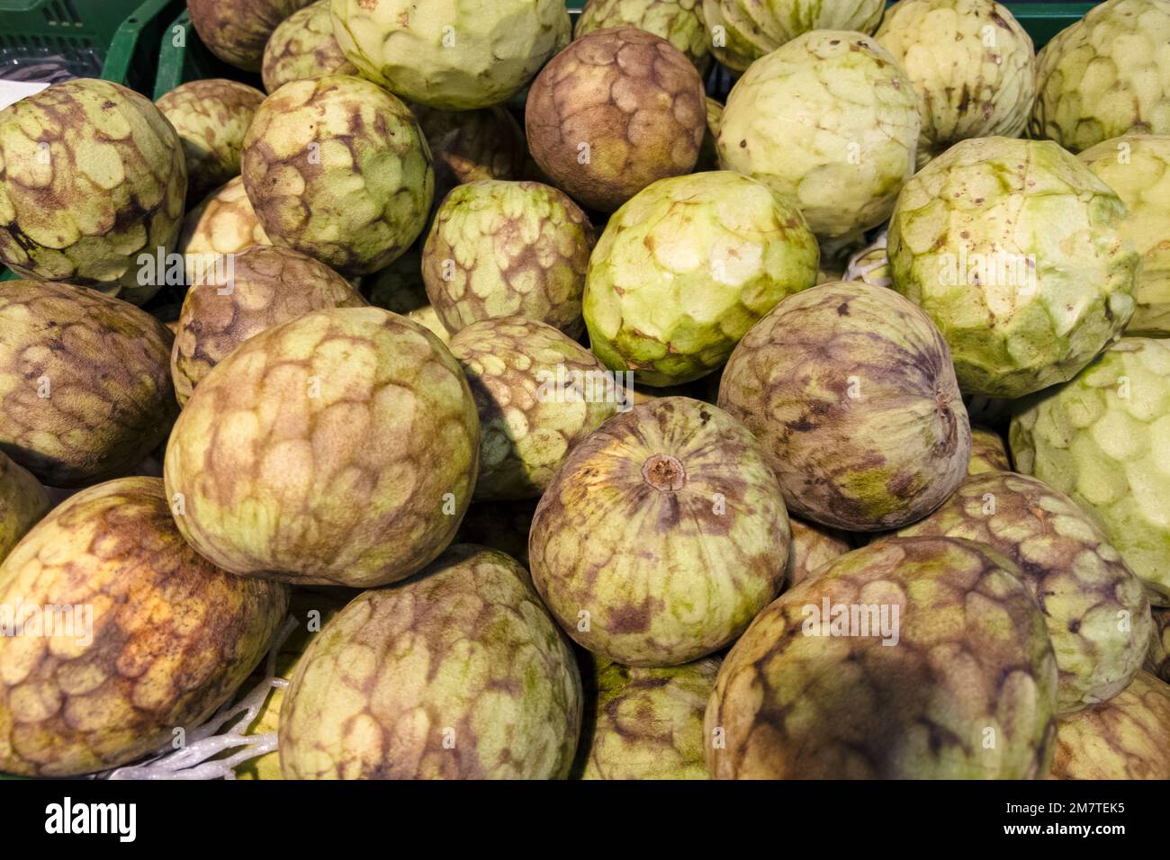 Frutta fresca sullo scaffale del supermercato. cherimoya, annona cherimoya, frutta commestibile a forma di cono Foto Stock