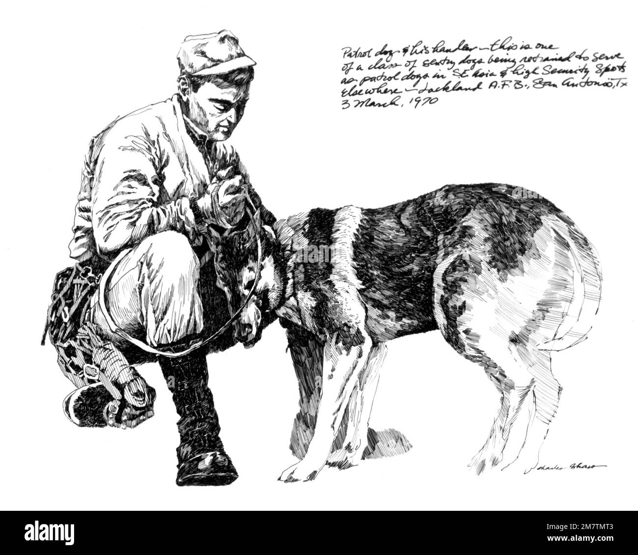 Illustrazione: 'Patrol Dog' artista: Charles Shaw. Paese: Sconosciuto Foto Stock