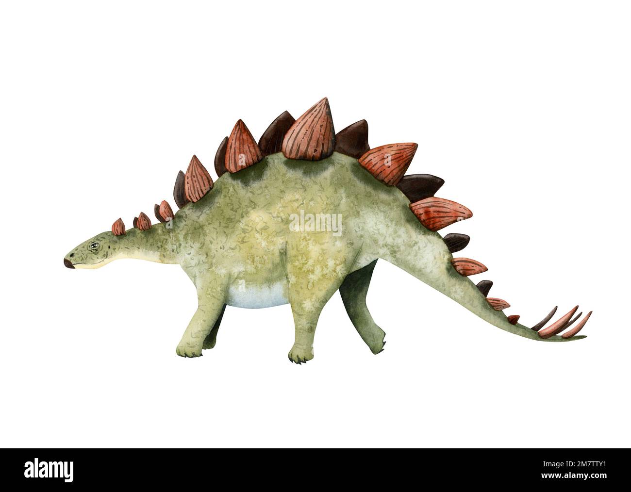 Acquerello dinosauro erbivoro stegosauro nei colori rosso e verde. Illustrazione disegnata a mano del periodo giurassico isolato su sfondo bianco Foto Stock