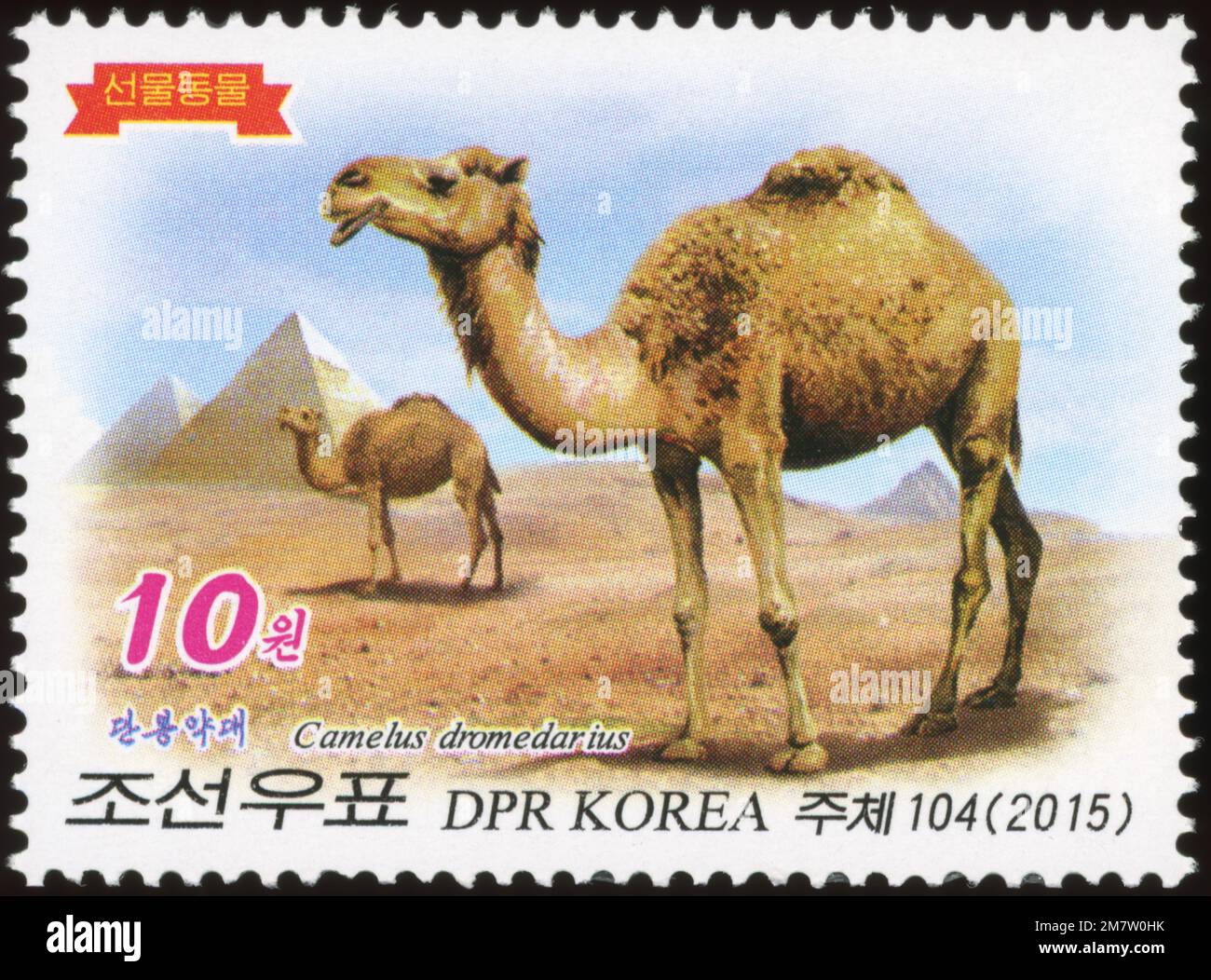 2015 Set di timbri per la Corea del Nord. Animali donati al Kim Jong il. Camelus dromedarius, dromedary Foto Stock