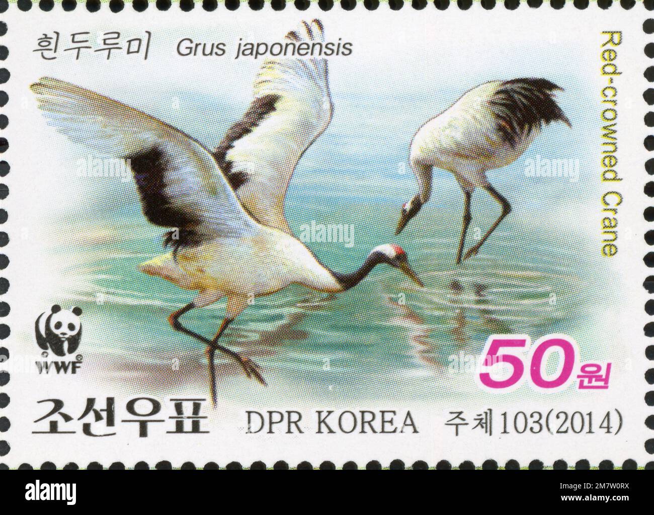 2014 Set di timbri per la Corea del Nord. WWF - Gru con corona rossa, Gru japonensis Foto Stock