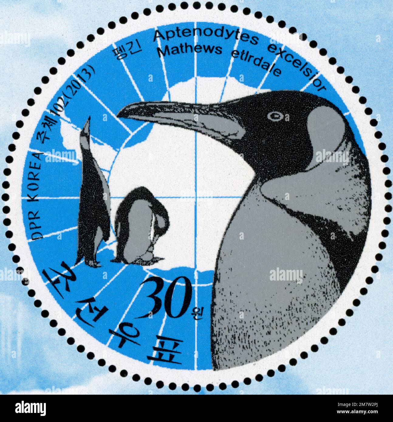 Francobollo rotondo nordcoreano del 2013 con Re Pinguini (Aptenodytes patagonicus) e una mappa dell'Antartide. Foto Stock