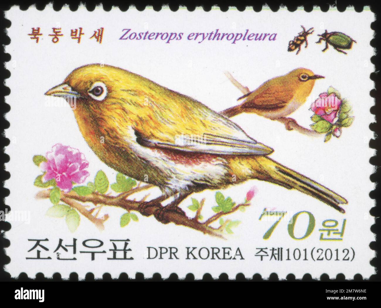 2012 francobollo della Corea del Nord con l'uccello, i fiori e gli insetti a occhio bianco (Zosterops erythropleura) fiancheggiato da castagne. Foto Stock