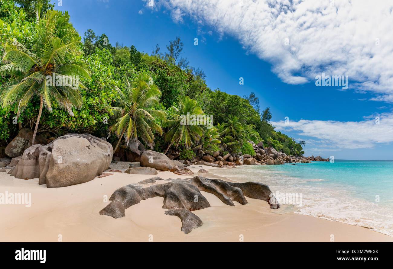 Vista panoramica della spiaggia di Anse Georgette, Praslin, Seychelles Foto Stock
