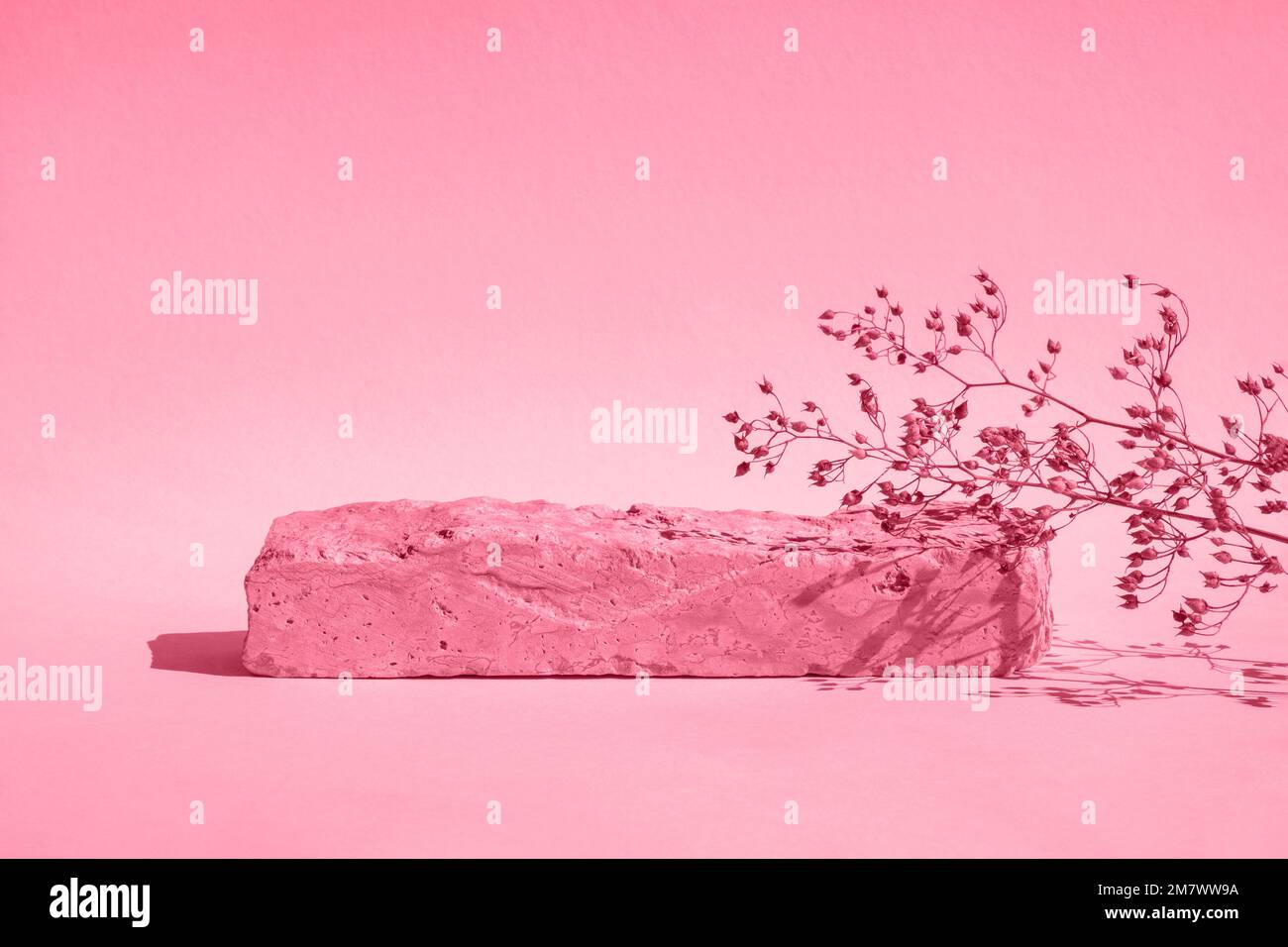 Podio con erba secca per promozione ed esposizione cosmetica. Piedistallo di bellezza naturale. Sfondo per la presentazione. Pietra color crema con ombra di foglia. Bella Foto Stock