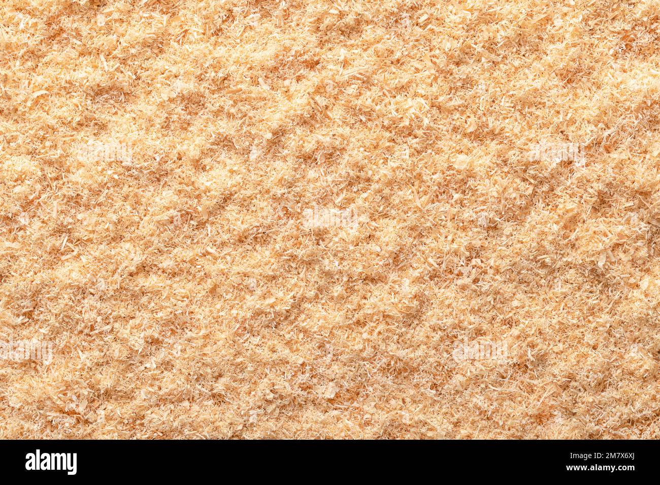 Farina di legno, polvere di legno, segatura fine, primo piano, superficie dall'alto. Formato segando abete rosso secco. Legno finemente polverizzato, un prodotto di scarto e di scarto. Foto Stock
