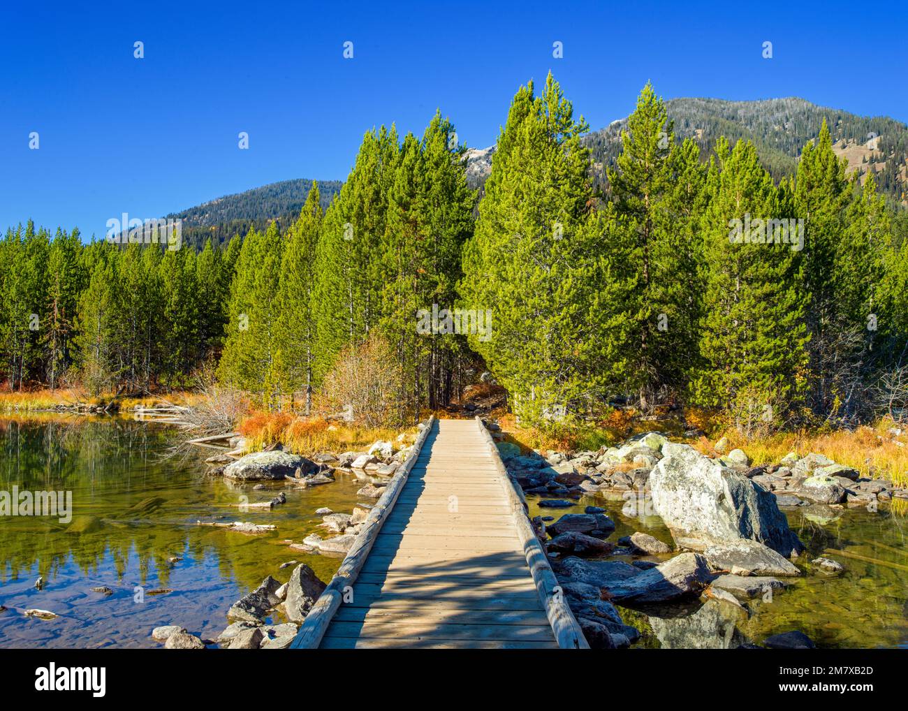 Taggart Lake Hike Trail, nel Grand Teton Mountains Grand Teton National Park Wyoming, Nord America, Stati Uniti Foto Stock