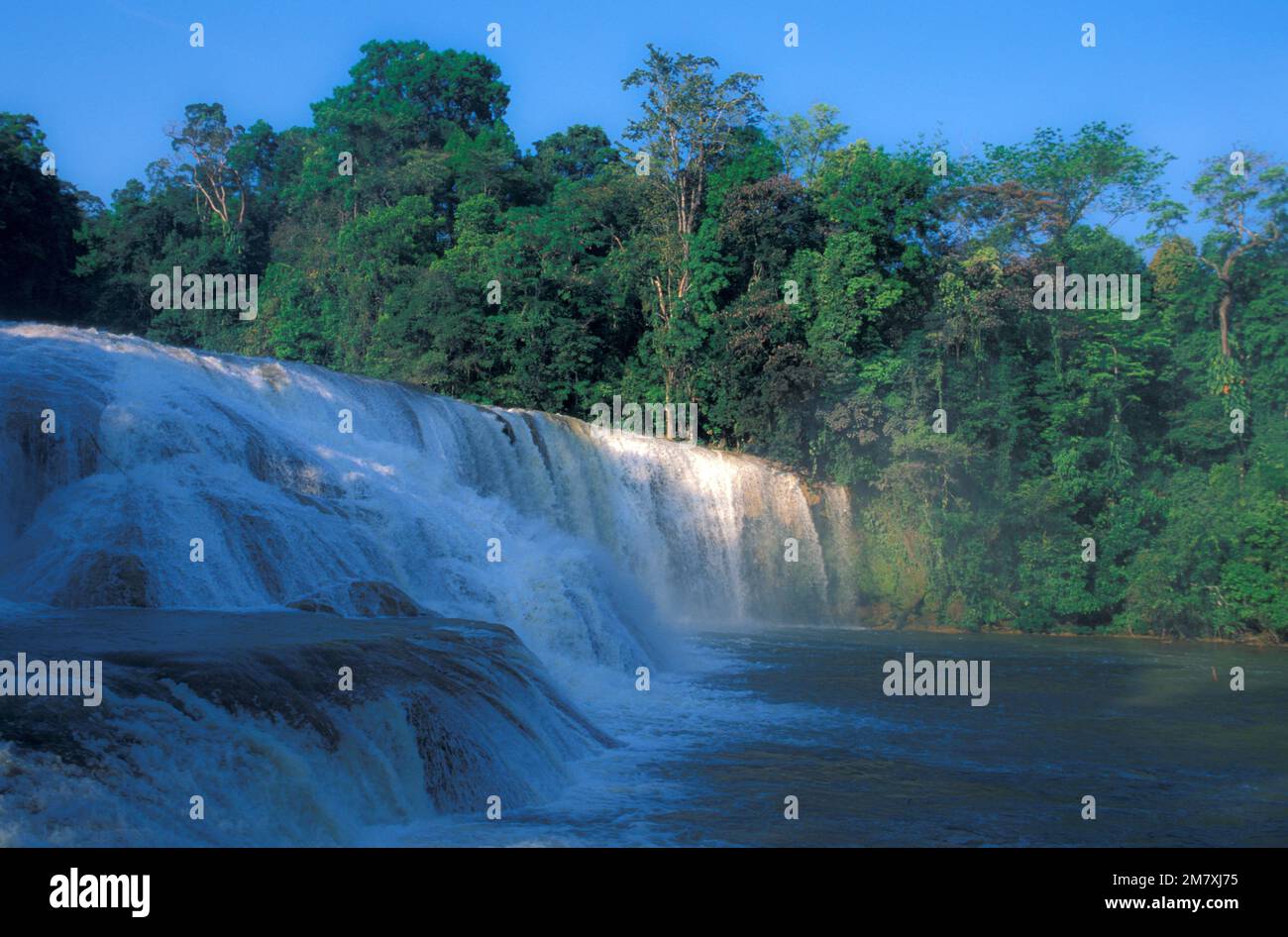Cascadas de Agua Azul, Eastado de Campeche, Messico Foto stock - Alamy