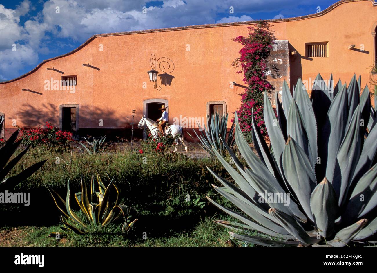 Messico, Jaliscio, Lagos de Moreno, Hacienda Sepulveda, Charro, MR=sì Foto Stock