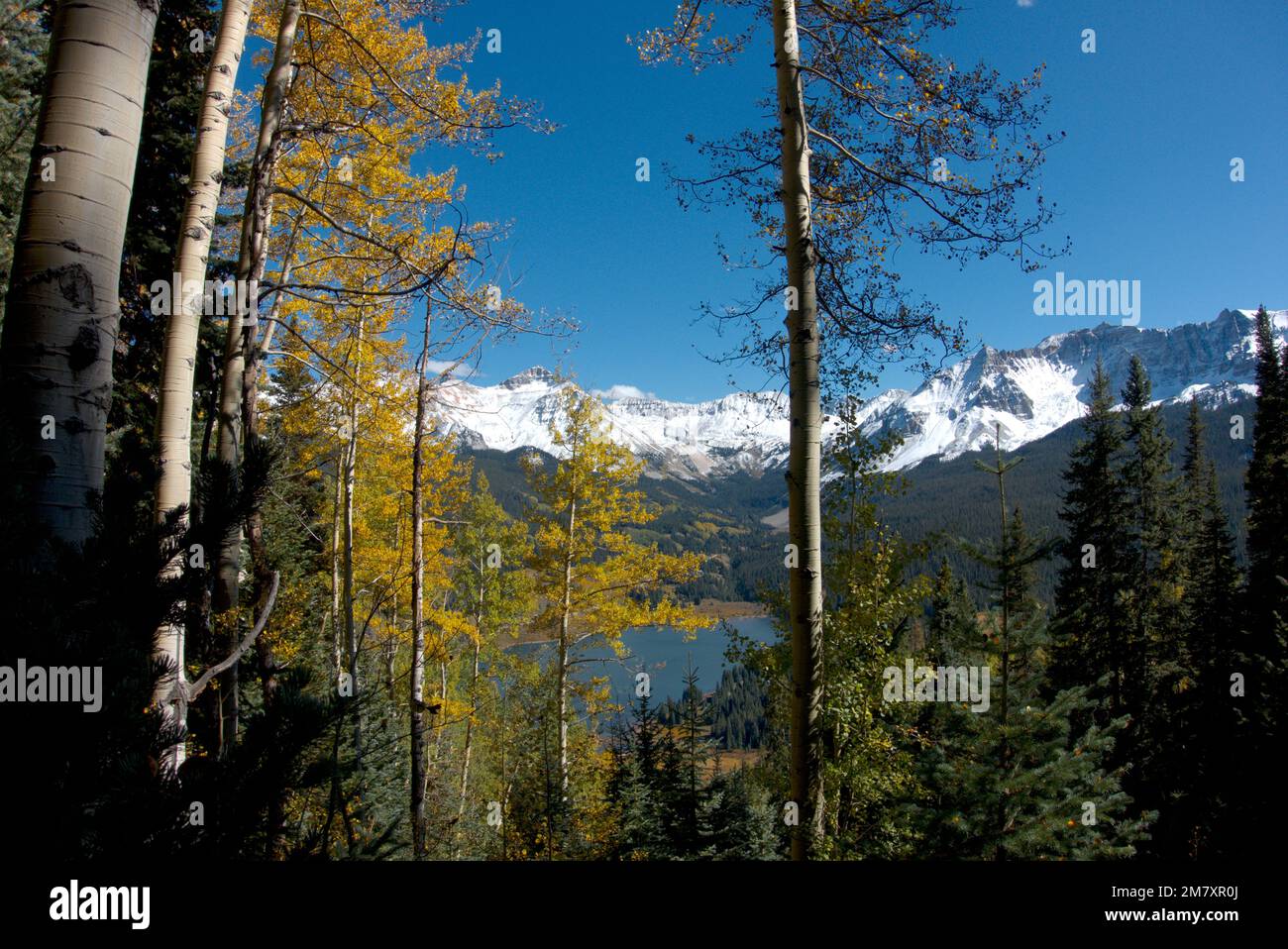 Inizio autunno nelle montagne di San Juan del Colorado: Attraverso l'alta foresta guardando verso il lago di Trout Foto Stock