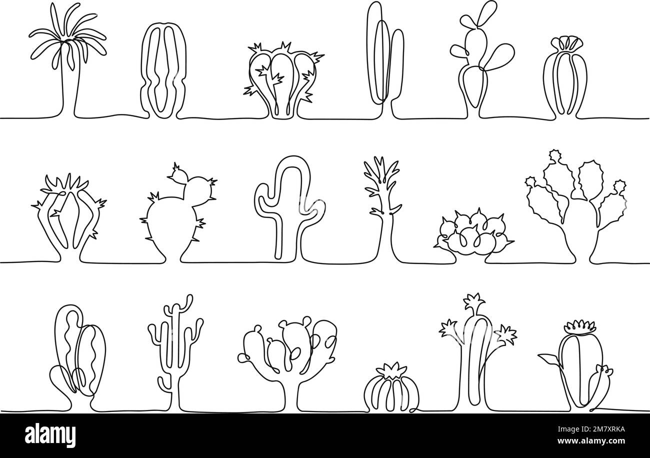 Una linea continua di strisce di cactus. Piante botaniche disegnate a mano, diversi tipi di cactus messicano vettore illustrazione set Illustrazione Vettoriale