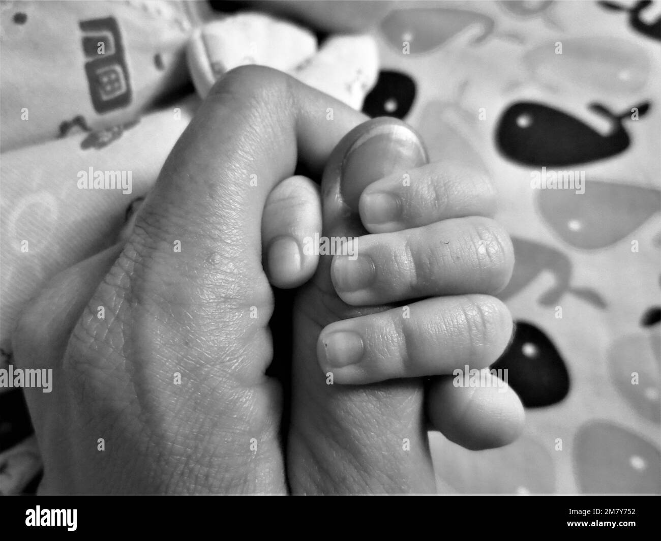 Scatto in bianco e nero: Mano di un adulto che tiene la mano di un bambino Foto Stock