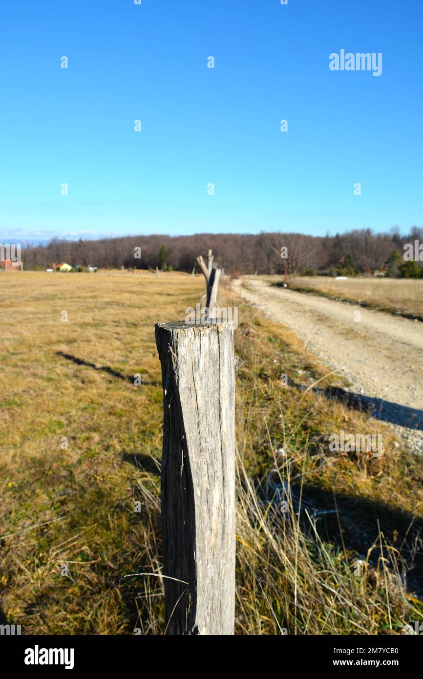 Vecchia recinzione di legno posti trekking autunnale attraverso Tara montagna parco nazionale, Serbia. Foto Stock