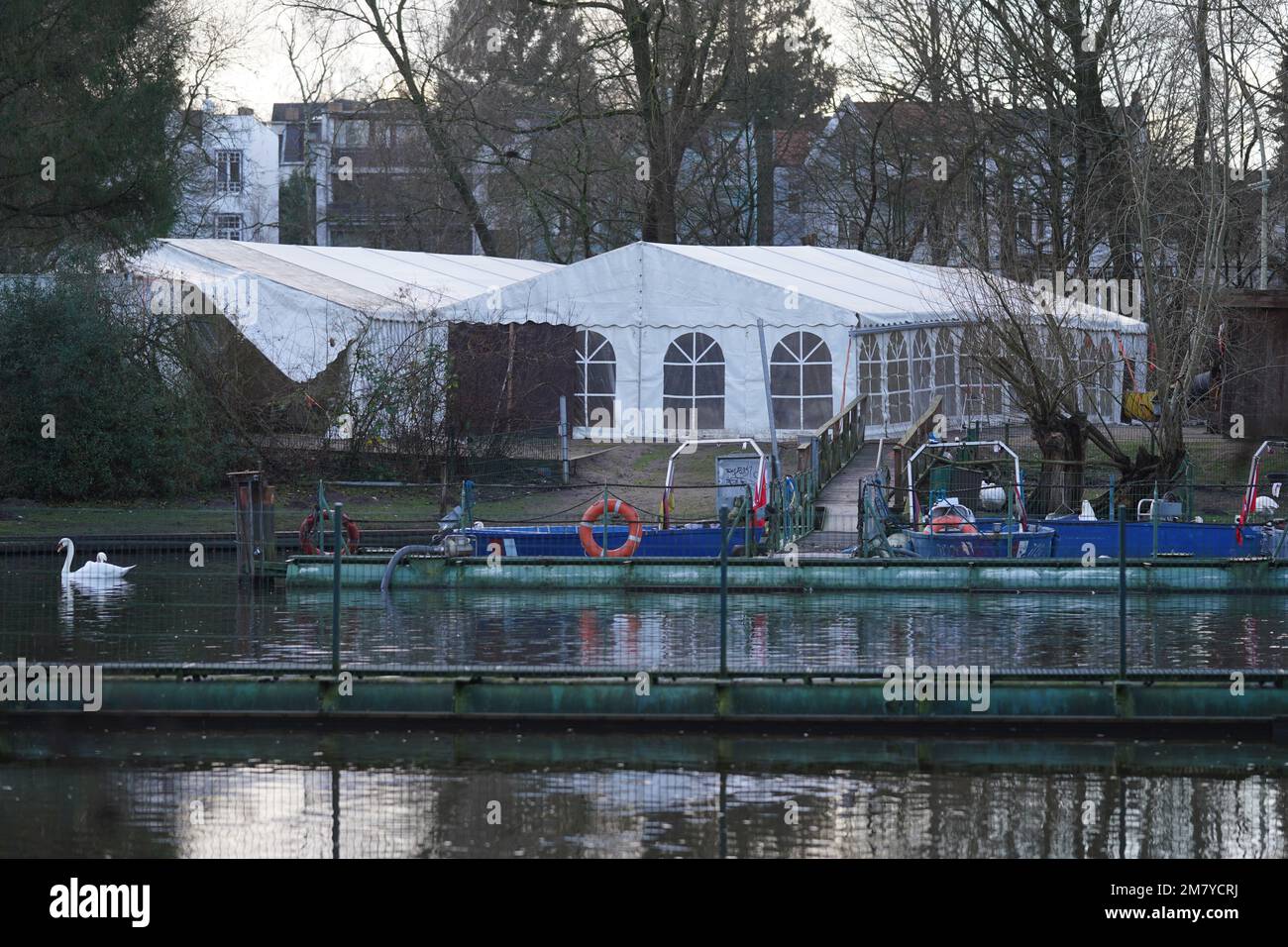 Amburgo, Germania. 11th Jan, 2023. Due tende sono destinate ai cigni dell'Alster nei quartieri invernali dello stagno del mulino di Eppendorf. Le tende sono destinate a proteggere i cigni dell'Alster di Amburgo dall'infezione con l'influenza aviaria dilagante. Credit: Marcus Brandt/dpa/Alamy Live News Foto Stock