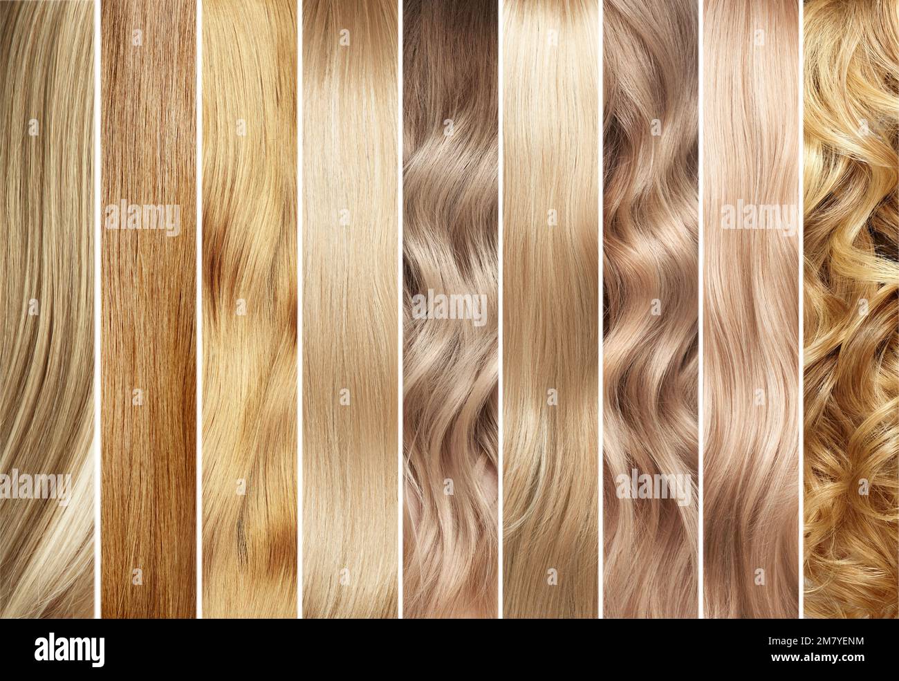 Collage di campioni di colore di capelli biondi. Colorazione dei capelli. Tintura per capelli Foto Stock