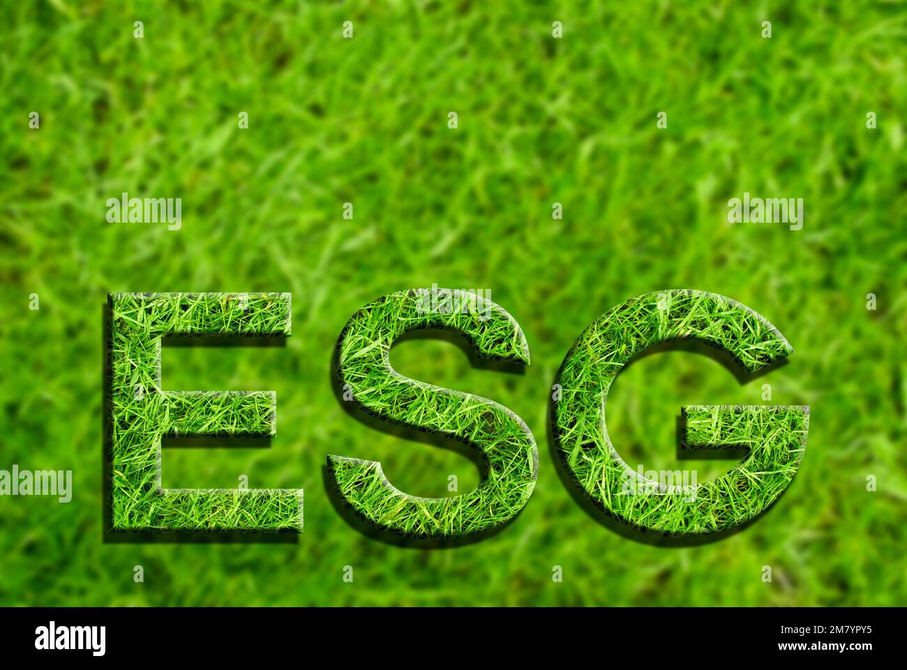 ESG Concept, ambiente, governance sociale e societaria Foto Stock