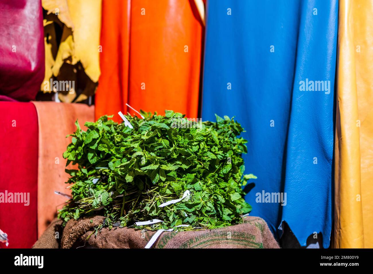 Foglie di menta fresca vendute sul mercato con pelli colorate come sfondo, Fes, Marocco, Nord Africa Foto Stock