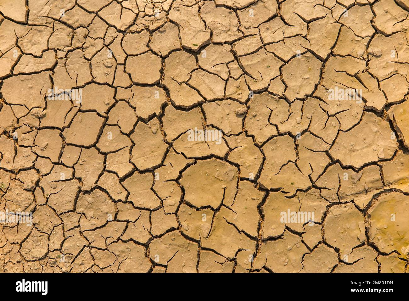 ILLUSTRAZIONE DELLA SICCITÀ, TERRA SPACCATA QUANDO L'ACQUA SI ASCIUGA DALLA MANCANZA DI PRECIPITAZIONI, BLAYE, GIRONDE, FRANCIA Foto Stock