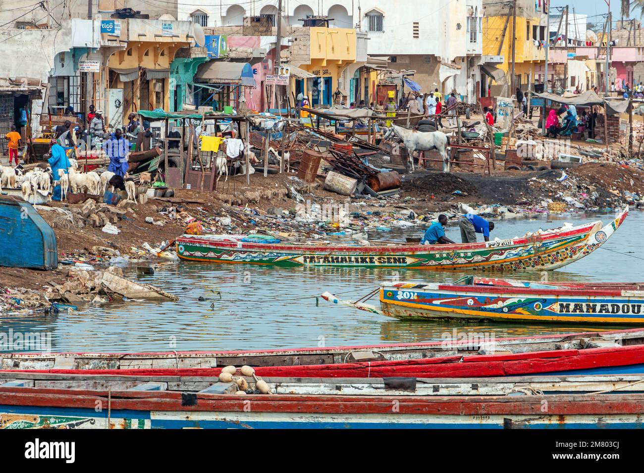 SCENA DI STRADA CON IL MERCATO DI CAPRA E PESCE SUL FIUME, GUET NDAR, QUARTIERE NEL VILLAGGIO DEI PESCATORI CON LE PIROGHE COLORATE, SAINT-LOUIS-DU-SENEGAL, SENEGAL, AFRICA OCCIDENTALE Foto Stock SCENA DI STRADA CON IL MERCATO DI CAPRA E PESCE SUL FIUME, GUET NDAR, QUARTIERE NEL VILLAGGIO DEI PESCATORI CON LE PIROGHE COLORATE, SAINT-LOUIS-DU-SENEGAL, SENEGAL, AFRICA OCCIDENTALE Foto Stock